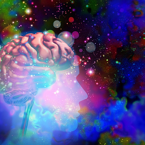 trippy2035