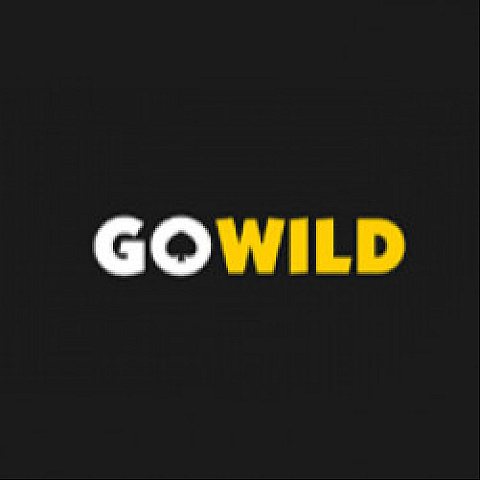 gowildcasinoau fotka