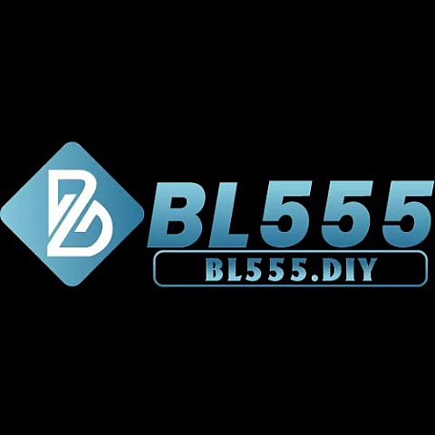 bl555diy fotka