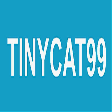 tinycat99autos