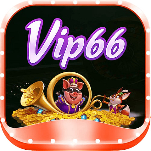 vip66diy