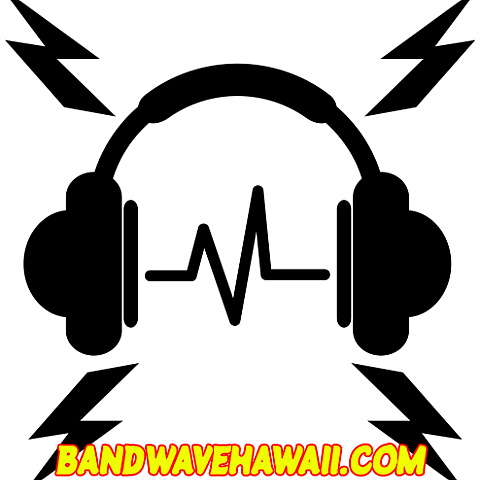 hawaiianguitarshirt