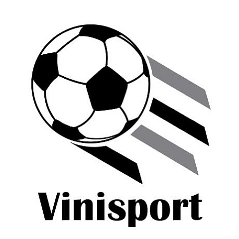 vinisport