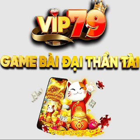 vip79cam
