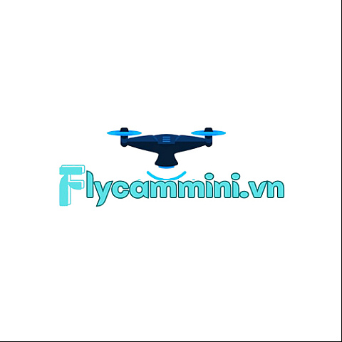 flycammini