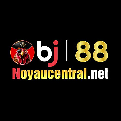 noyaucentralnet fotka