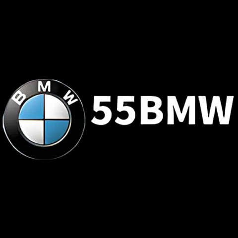55bmwdev