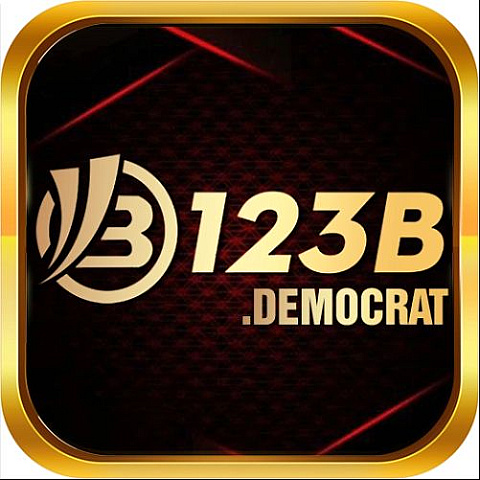 123bdemocrat
