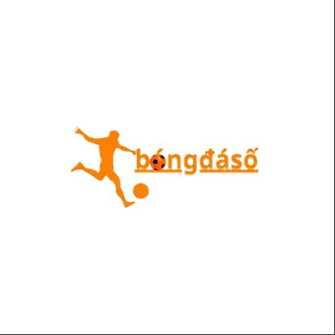 bongdasoresearchltc