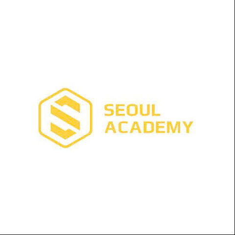 seoulacademyy