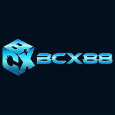 bcx88chat fotka