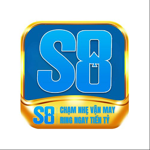 s8innet