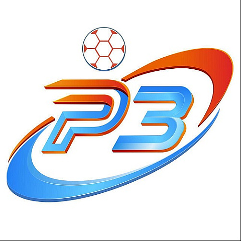 p3vin1