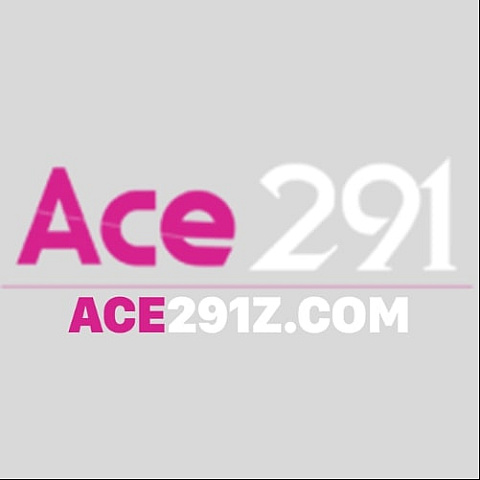 ace291zcom