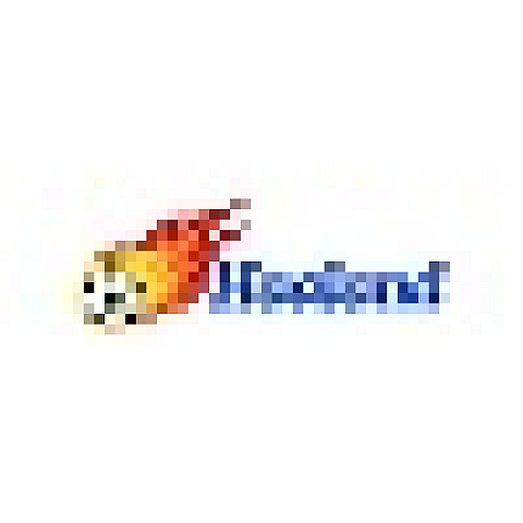 haalandceo