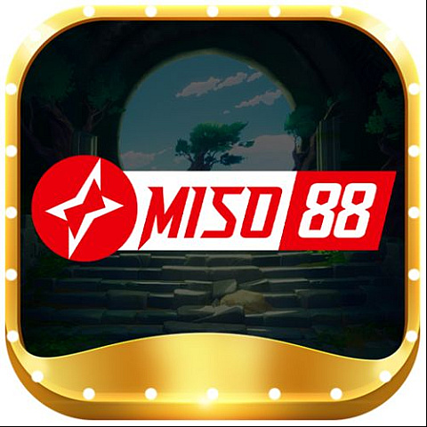 miso88art1 fotka