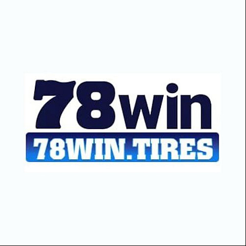 78wintires
