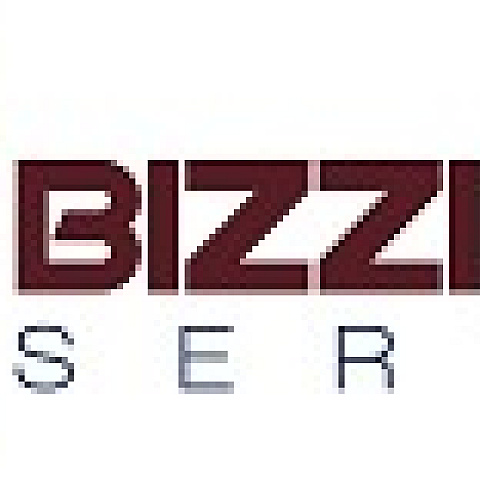 databizzietech