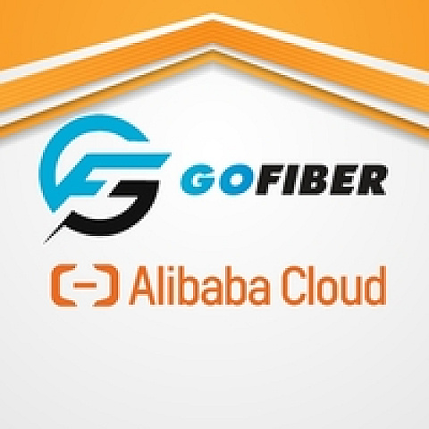 alibabapartner1