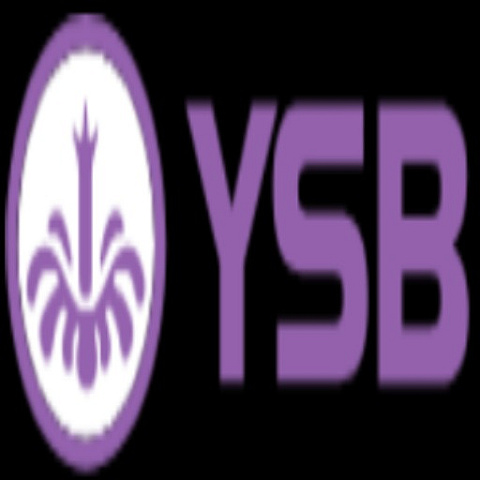 ysb66xncom