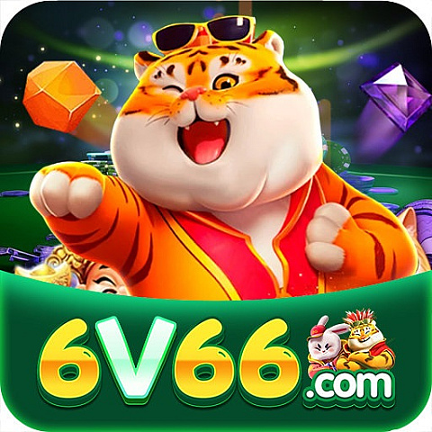 6v66org