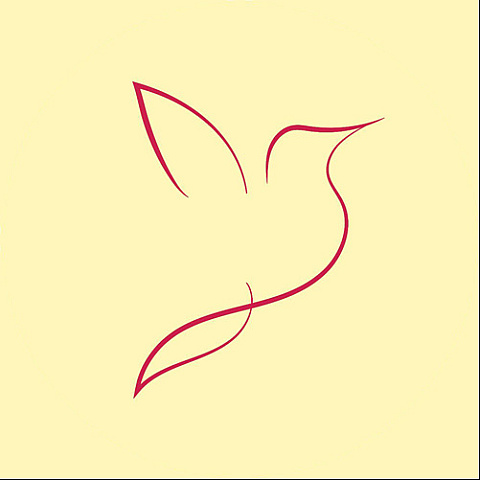 parwaz