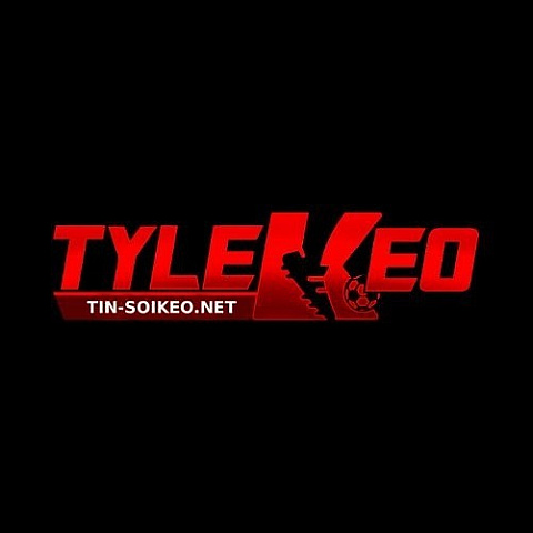 tinsoikeonet