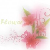 flower - fotka