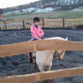 lovehorse1