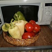 sifrovica