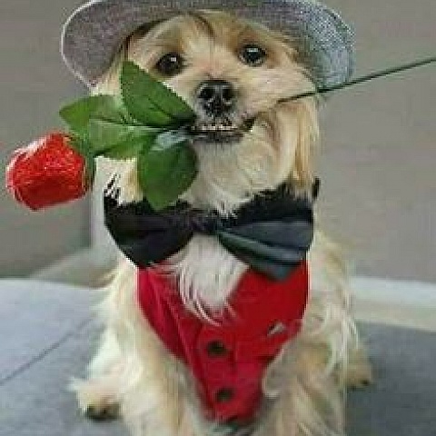 72734_1613412238 - profilový obrázok