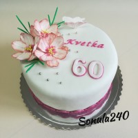 Sonula240: Narodeninova k 60 tke