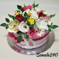 Sonula240: Kvetinový box