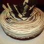 Zebra torta (fotorecept)
