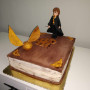 Torta k narodeninám Harry Potter