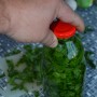 Medvedí cesnak - tinktúra (fotorecept)