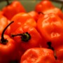 Chilli omáčka Habanero - Dotyk smrti