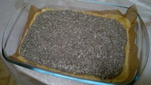 Makový mrežovník - obrázok 3