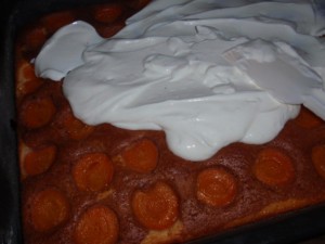 Zákuskový marhuľový koláčik s kivi - obrázok 1