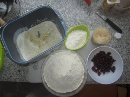 Nórske žemličky - obrázok 2