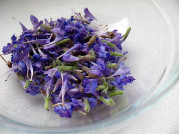 Levanduľová bábovka (fotorecept) - obrázok 1