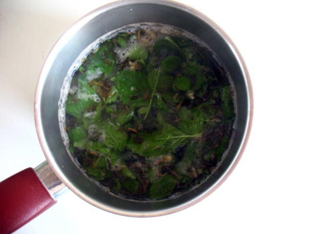 Mätový sorbet (fotorecept) - obrázok 2