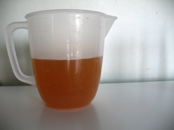 Mätový sorbet (fotorecept) - obrázok 3