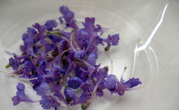 Maslo a la Paris (fotorecept) - obrázok 1