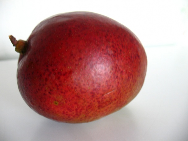 Ľadový jogurtový mango pohár (fotorecept) - obrázok 9