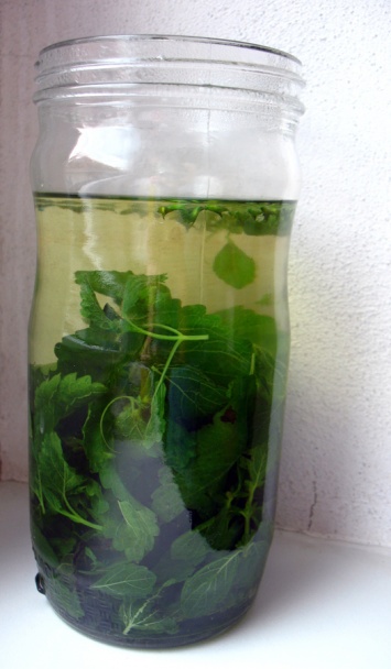 Extra medovkový čaj (fotorecept) - obrázok 3