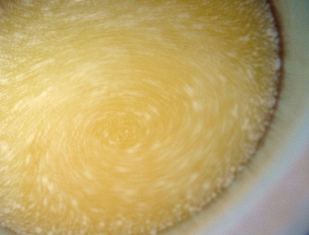 Rooibos muffiny (fotorecept) - obrázok 6