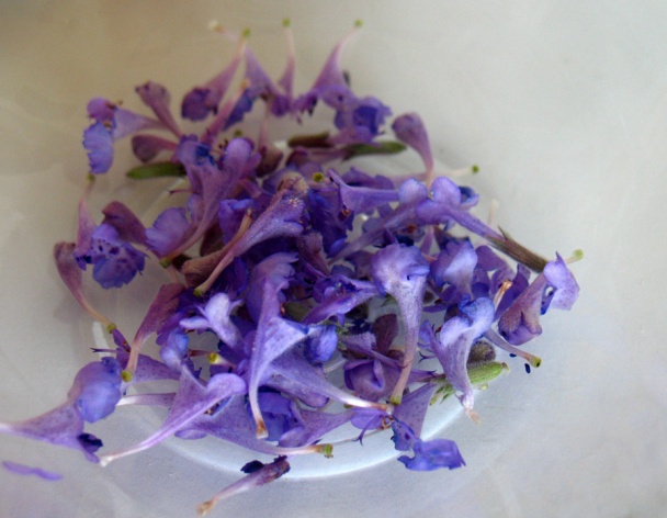 Levanduľovo-vanilková veža s omáčkou z bielej čokolády (fotorecept) - obrázok 2