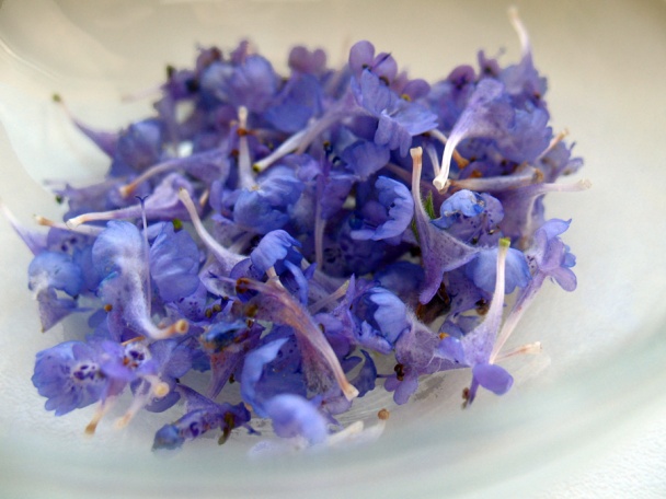 Levanduľovo-vanilková veža s omáčkou z bielej čokolády (fotorecept) - obrázok 6