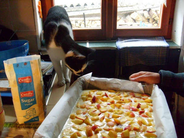 Mamin ultrarýchly koláč (fotorecept) - obrázok 5